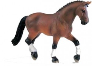 Obrazek